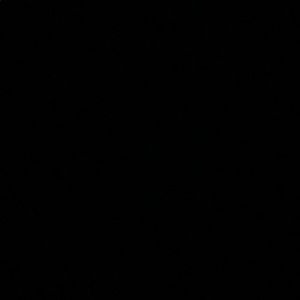 Meet your Posher, Hector